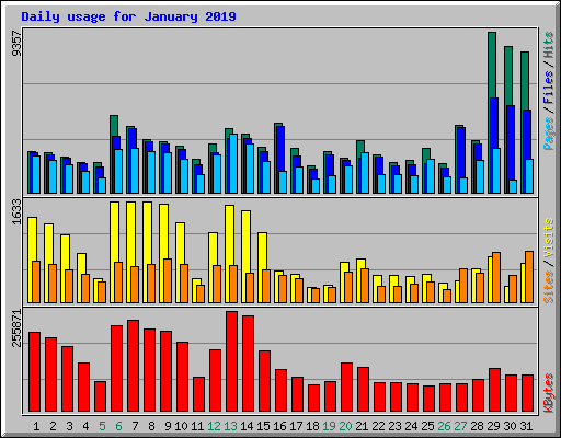 Daily usage for January 2019
