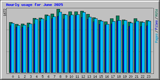 Hourly usage for June 2025