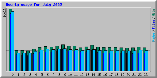 Hourly usage for July 2025