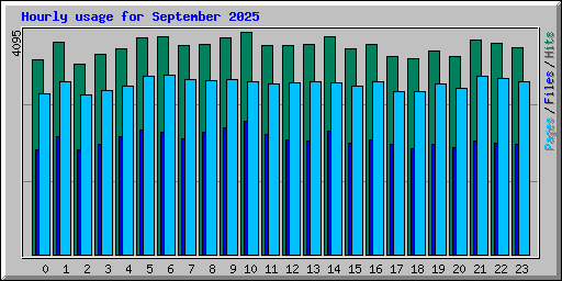 Hourly usage for September 2025