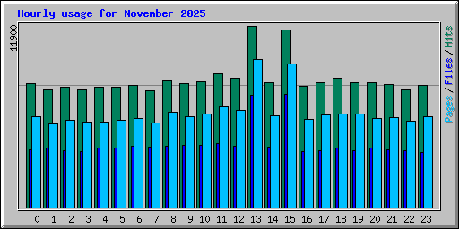 Hourly usage for November 2025