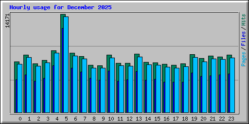 Hourly usage for December 2025