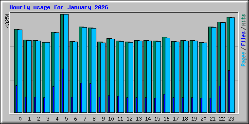 Hourly usage for January 2026